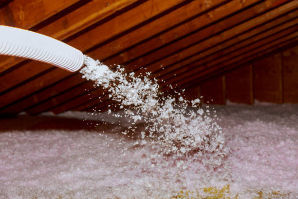 Best Best Insulation Companies  in Eagle Lake, TX