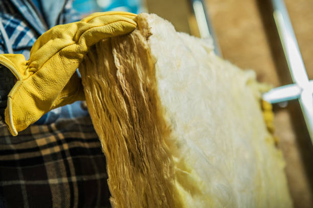 Best Insulation for Commercial Buildings  in Eagle Lake, TX