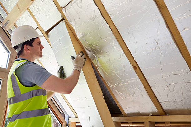Best Wall Insulation Contractor  in Eagle Lake, TX