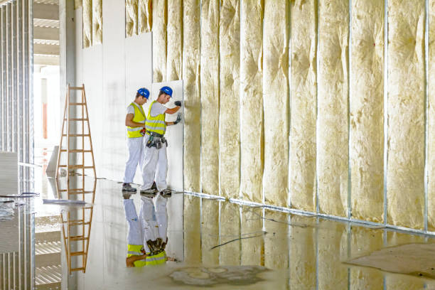 Best Best Insulation Companies  in Eagle Lake, TX